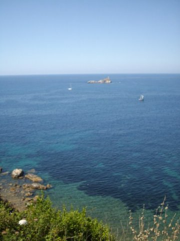 IMGP0868