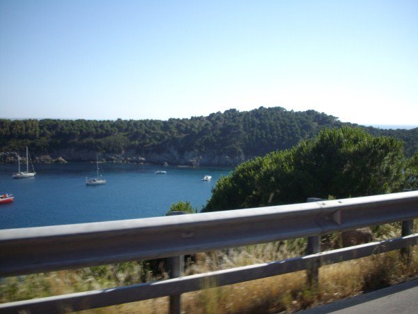 IMGP0875