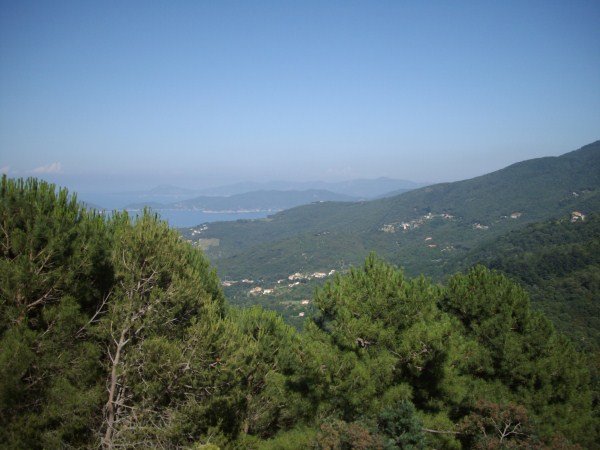 IMGP0930