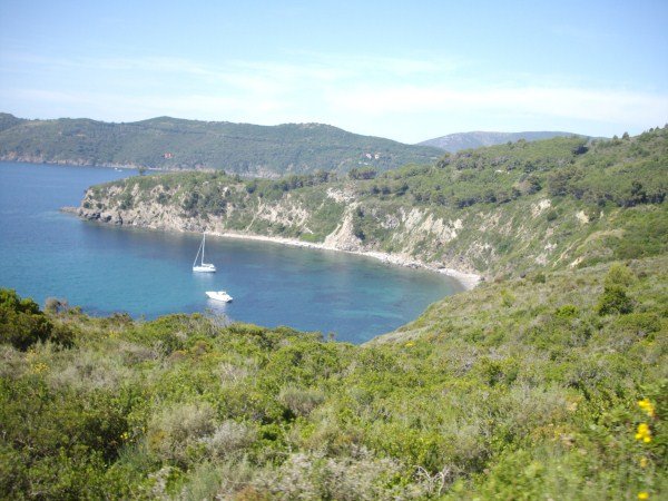 IMGP0937