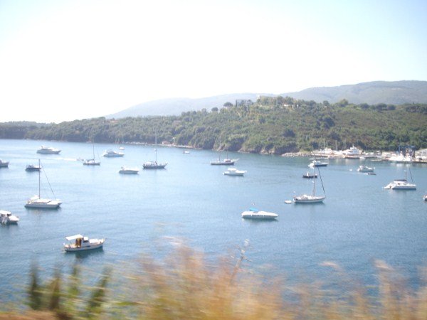 IMGP0947