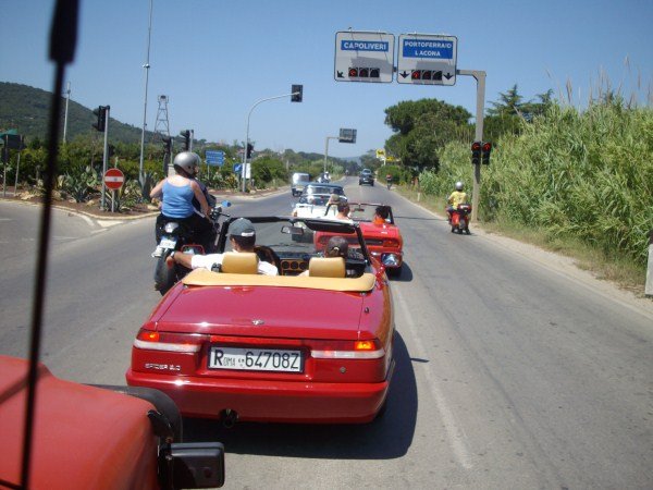 IMGP0954