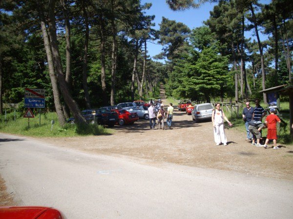 IMGP2335