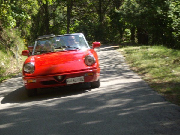 IMGP2337