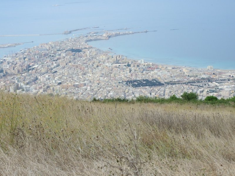 DSCF1967
